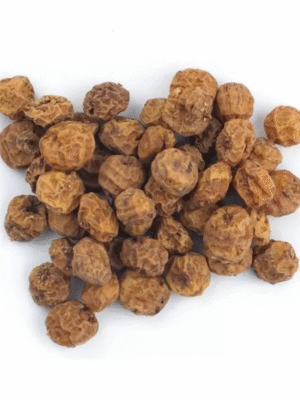 Large Tigernuts