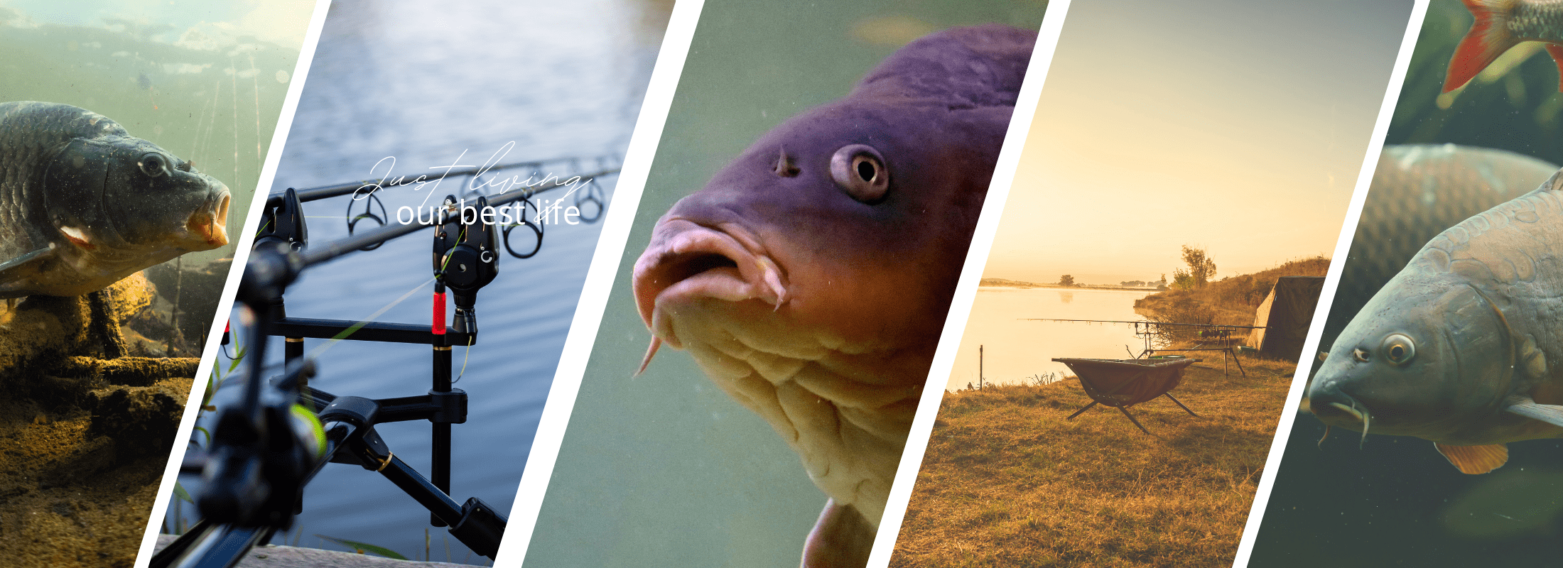 CarpCraft Cover page