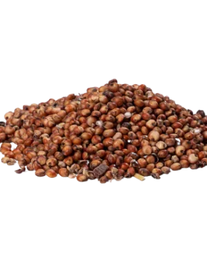 Red Sorghum