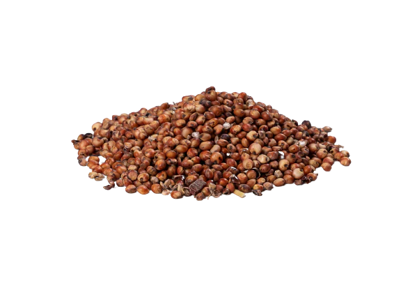 IMG_5663-scaled-removebg-preview_1024x1024@2x Red Sorghum