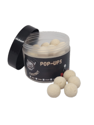 Chocnut Pop-Ups