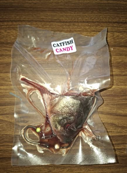 558167722_122214159140295347_479440254069468424_n Catfish Candy Muddy Kop