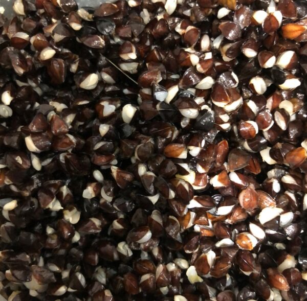 Cooked Buckwheat 1kg Frozen
