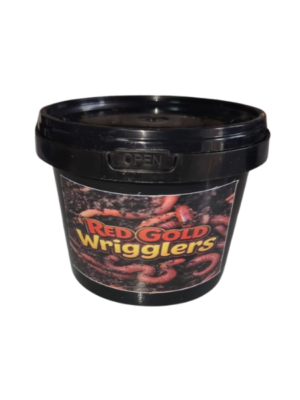 Red Gold Wigglers - Kariba Worm