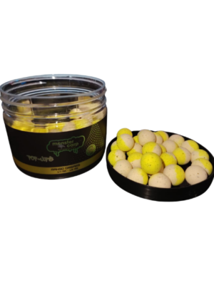 Monster Carp Pop-up - Mango Dream