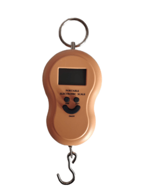 Digital 50kg Scale