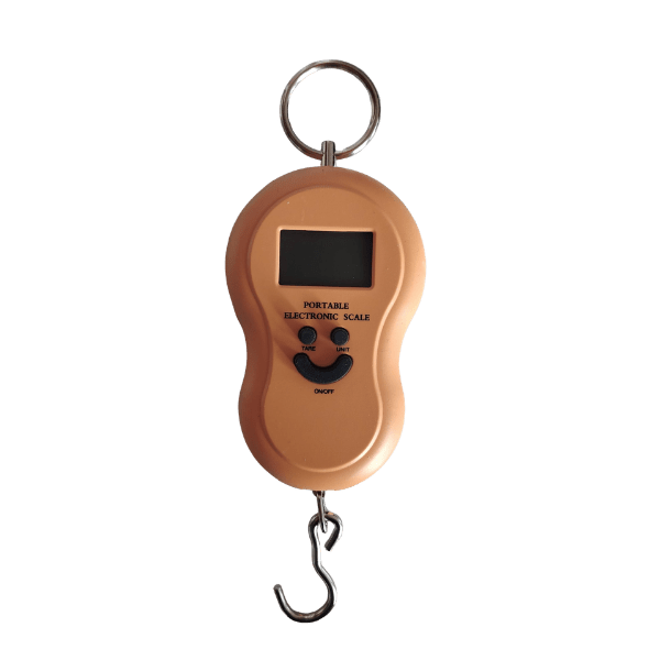 Digital 50kg Scale